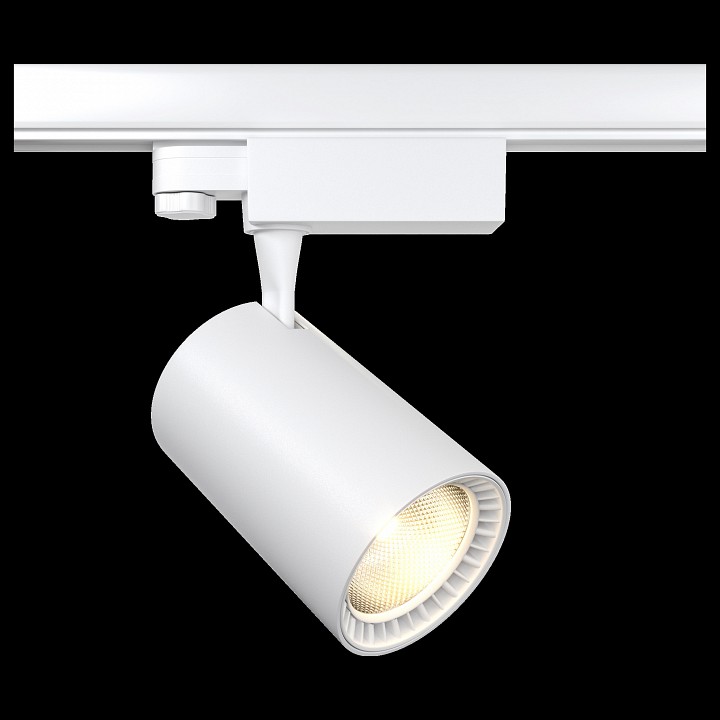 Подвесной светильник Maytoni Ray P022PL-L10B | Maytoni MYP022PL-L10B