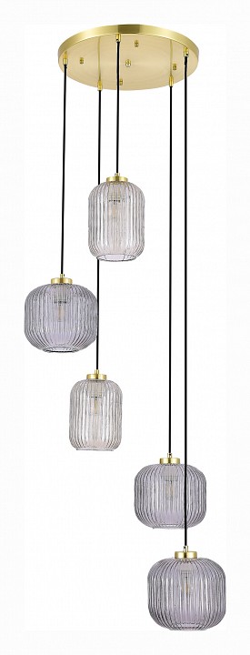 Подвесная люстра ST-Luce Gran SL1154.303.05 | ST-Luce SL1154.303.05