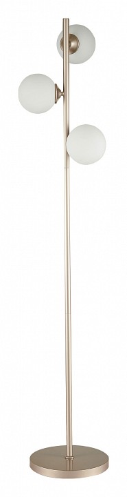 Торшер ST-Luce Redjino SLE106205-03 | ST-Luce SLE106205-03