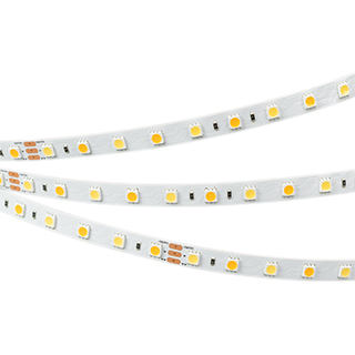 Лента RT 6-5000 24V White-MIX 2x (5060, 60 LED/m, LUX) (Arlight, Изменяемая ЦТ) | Arlight 025213