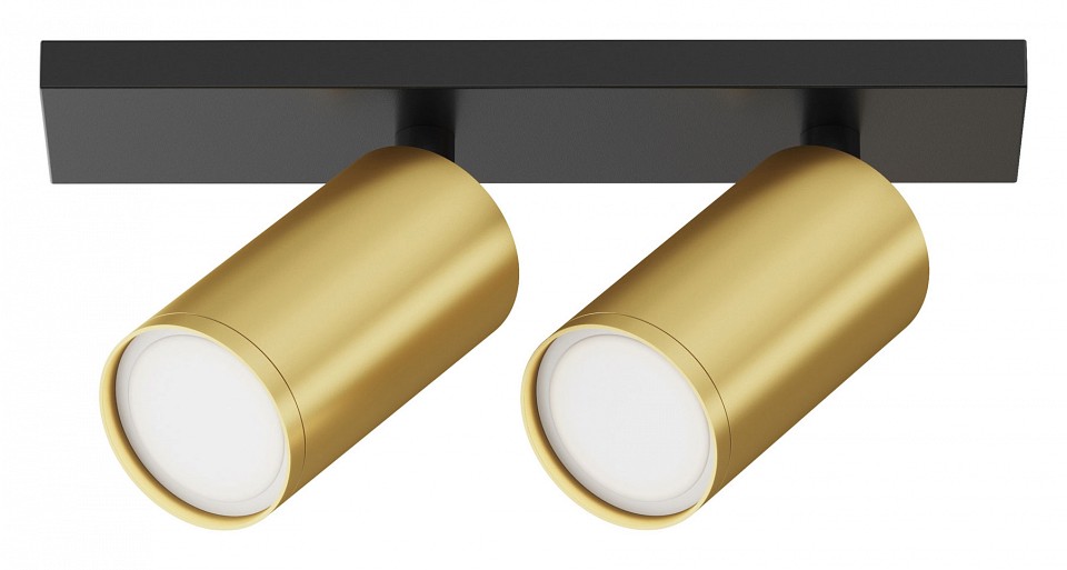 Спот Maytoni FOCUS S C051CL-U-02BMG | Maytoni MYC051CL-U-02BMG