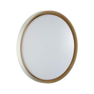 7645/ELN COLOR SN 158 Светильник пластик/белый/оранжевый LED 76Вт 3000/4000/6000К D520 IP43 CCT KISIL | Sonex SN7645/ELN