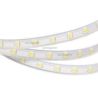 Лента ARL-W5060PG-54-220V Warm 3000K (540 LED, 10m) (Arlight, Герметичный) | Arlight 020539