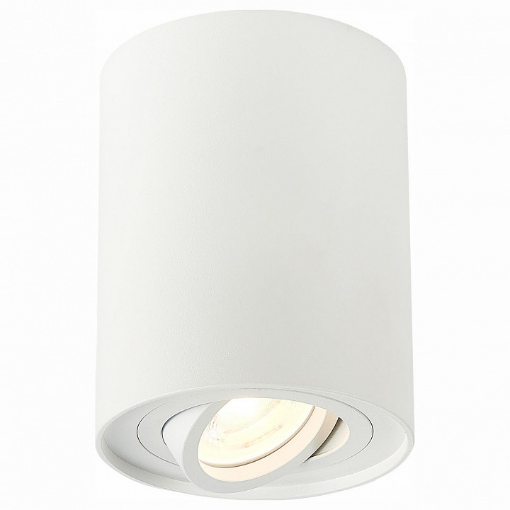Спот ST-Luce Torus ST108.517.01 | ST-Luce ST108.517.01