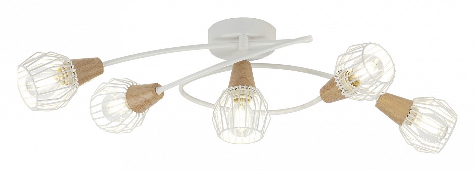 Потолочная люстра Rivoli Naturale S5 WT Б0038094 | Rivoli RVLB0038094