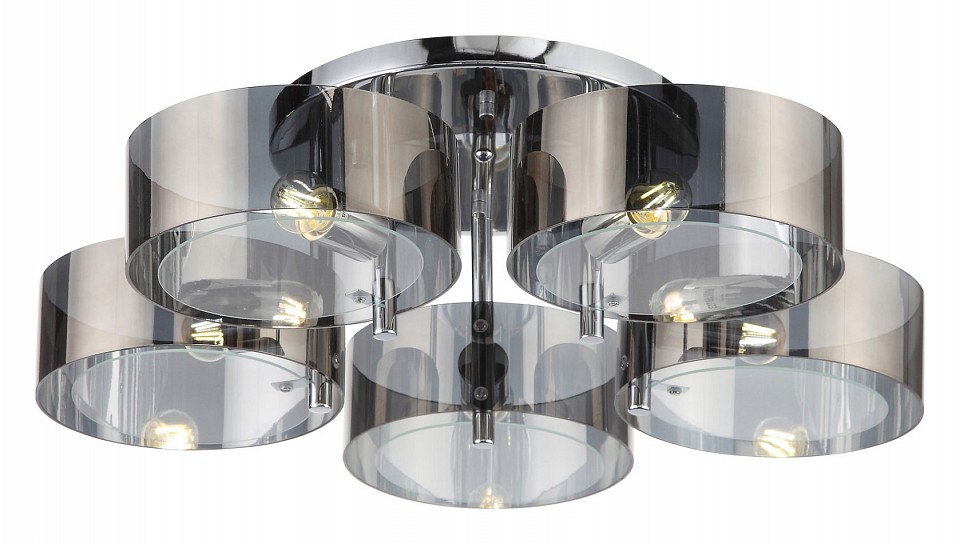 Накладной светильник EVOLUCE Foresta SL483.702.05 | EVOLUCE EVOSL483.702.05
