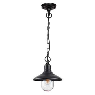 4965/1 NATURE ODL22 735 черный/стекло Ландшафтный подвес E27 1*60W IP44 CAMPA | Odeon Light OL4965/1