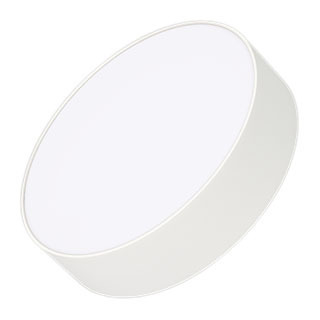 Светильник IM-RONDO-EMERGENCY-3H-R210-20W Day4000 (WH, 120 deg, 230V) (Arlight, IP40 Металл) | Arlight 038885