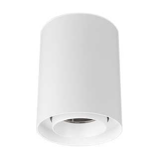 Светильник SP-FOCUS-R110-18W Day4000 (WH, 36 deg, 230V) (Arlight, IP54 Металл) | Arlight 054854