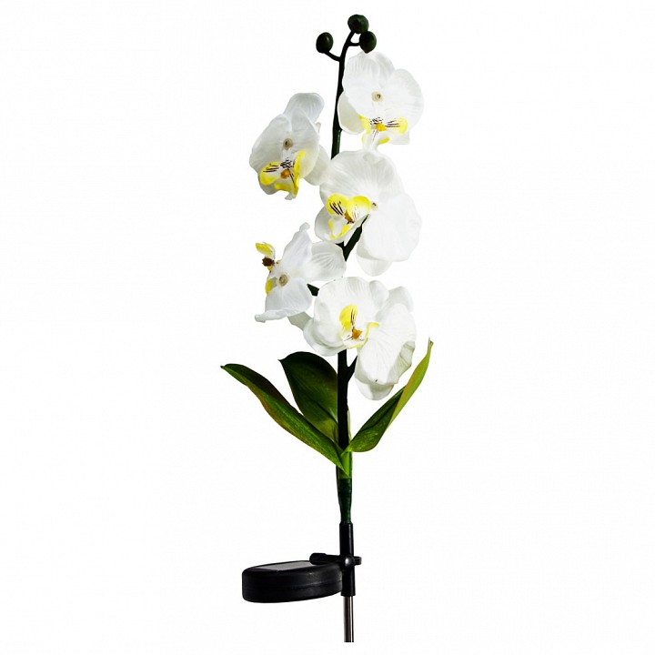 Цветок Feron Орхидея белая с желтым PL301 06259 | Feron FE06259