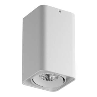 052136-IP65 Светильник MONOCCO LED10W 600LM 30G БЕЛЫЙ 4000K (в комплекте) | Lightstar LS052136