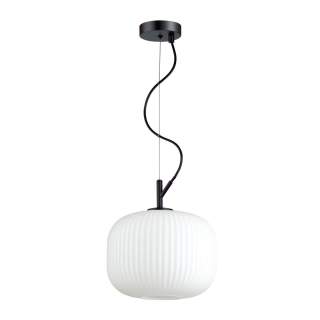 4753/1 PENDANT ODL21 489 белый/черный Подвес E27 60W ROOFI | Odeon Light OL4753/1