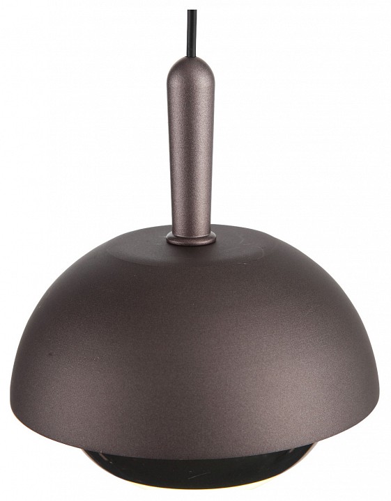 Подвесной светильник ST-Luce Entolla SL1602.323.01 | ST-Luce SL1602.323.01