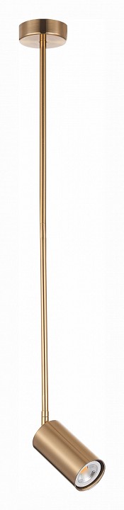 Светильник на штанге ST-Luce Sormano SL1206.303.01 | ST-Luce SL1206.303.01