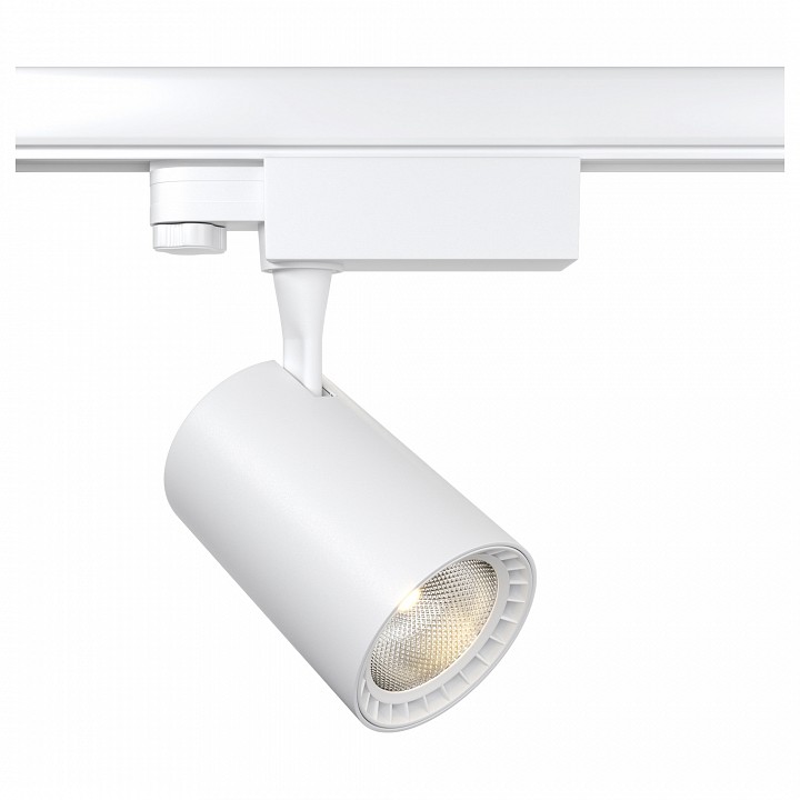 Подвесной светильник Maytoni Ray P022PL-L10W | Maytoni MYP022PL-L10W
