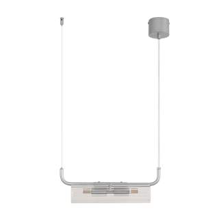 8258/2 SUSPENTIONI LN26 серебро/прозрачный, металл/стекло Подвес G9 2*20W 220V TORONTO | Lumion LN8258/2