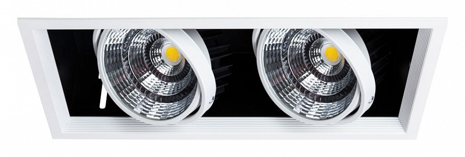 Встраиваемый светильник Arte Lamp Merga A8450PL-2WH | Arte Lamp ARA8450PL-2WH