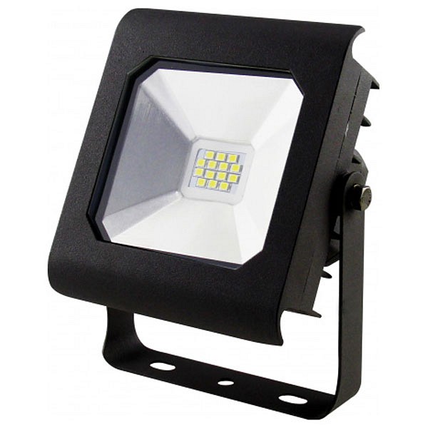 Светильник на штанге Эра LPR-10 LPR-10-6500K-M SMD PRO | Эра ERB0028650