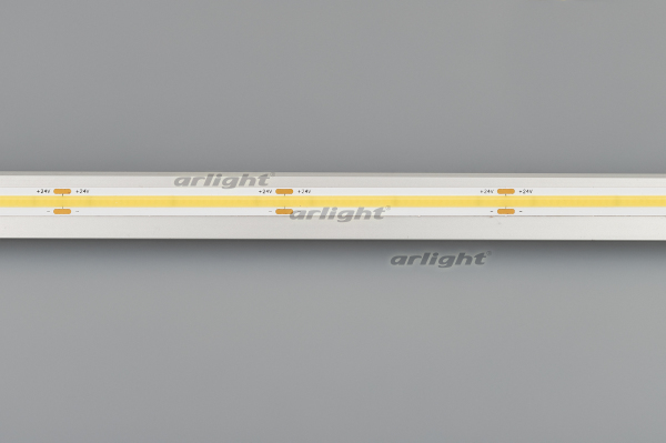 Лента RT-5000-CSP-512-24V White6000 (8mm, 11W/m, IP20) (Arlight, -) | Arlight 030337