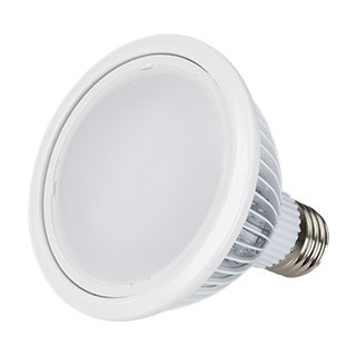 Светодиодная лампа E27 MDSL-PAR30-12W 120deg White (Arlight, PAR30) | Arlight 014143