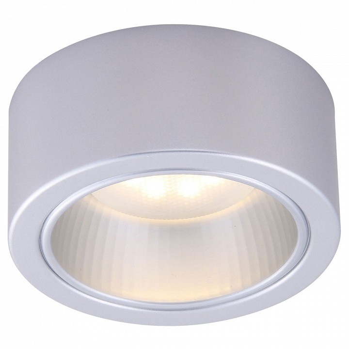 Накладной светильник Arte Lamp Effetto A5553PL-1GY | Arte Lamp ARA5553PL_1GY