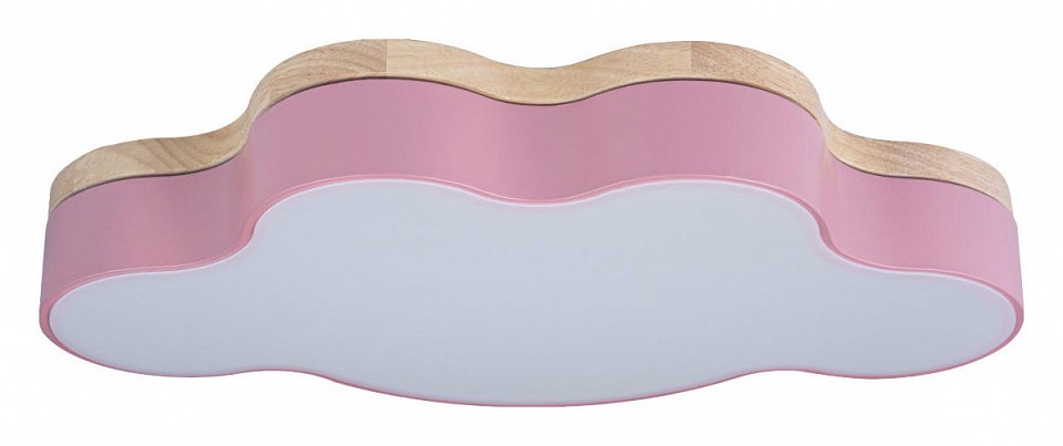 Накладной светильник Loft it Axel 4 10005/30 Pink | Loft it LF1000530Pink