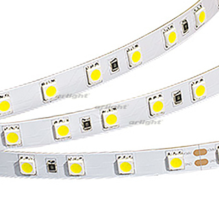 Лента RT 2-5000 36V White 2X (5060, 300 LED, LUX) (Arlight, Открытый) | Arlight 015074