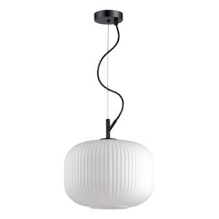 4754/1 PENDANT ODL21 489 белый/черный Подвес E27 60W ROOFI | Odeon Light OL4754/1