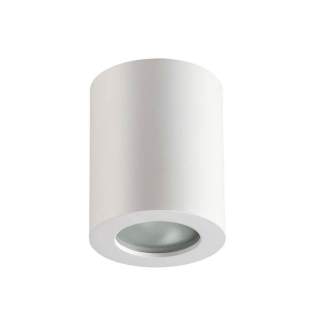 3571/1C HIGHTECH ODL18 393 белый Потолочный накладной светильник IP44 GU10 1*50W 220V AQUANA | Odeon Light OL3571/1C