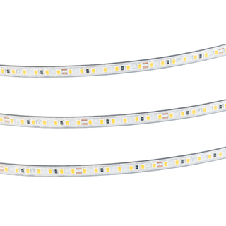 Лента герметичная RTW-PS-A140-7mm 24V Day4000 (10 W/m, IP67, 5m) (Arlight, CRI>90) | Arlight 058505