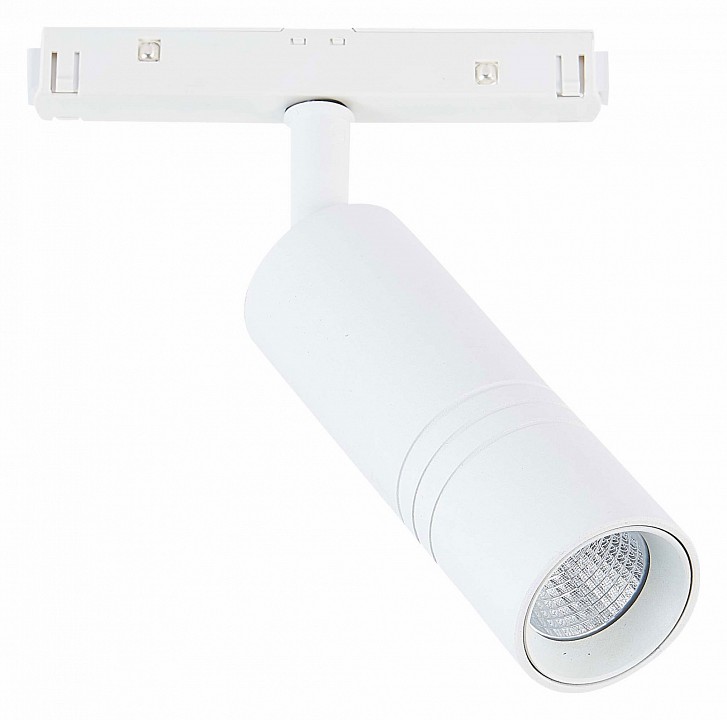 Светильник на штанге ST-Luce Lemmi ST365.536.12 | ST-Luce ST365.536.12
