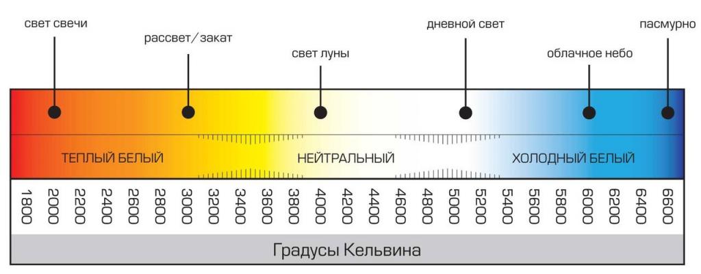 svet_temp_1.jpg