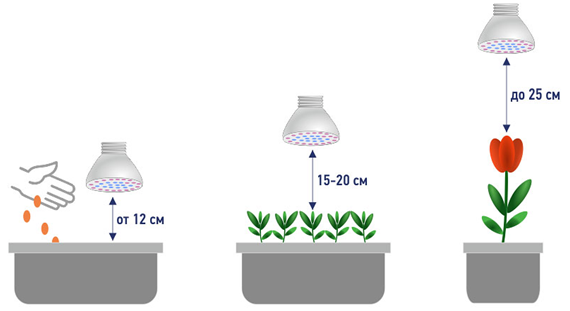 Светодиодные ленты для роста растений